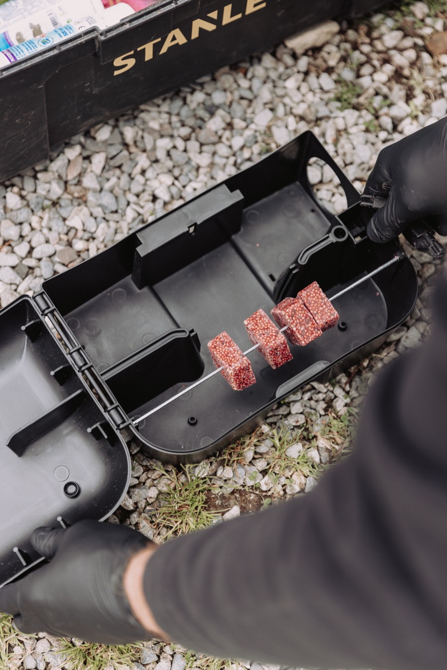Blocs raticides installés dans un poste d'appâtage sécurisé