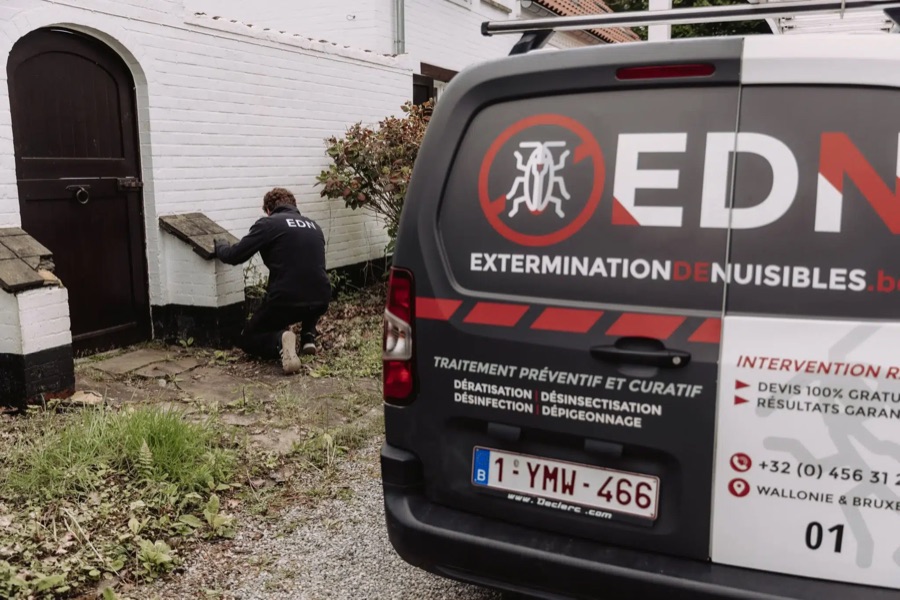 Technicien EDN inspectant un point d'entrée de rongeurs en soubassement