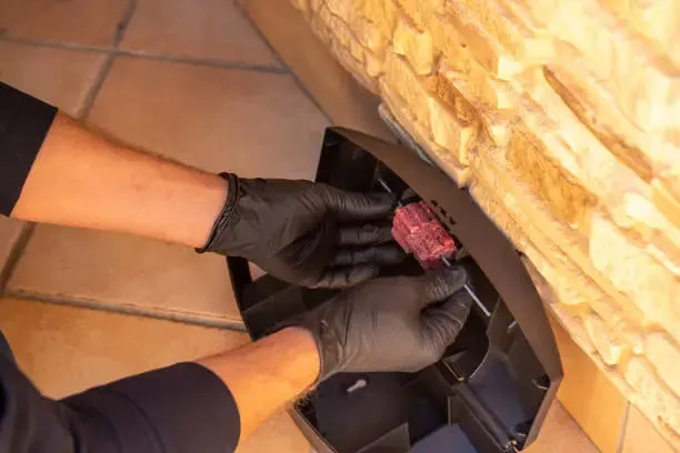 Pose d'un appât sécurisé sur le passage des rongeurs